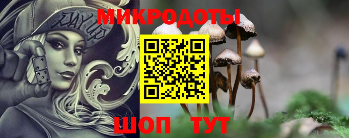 Галлюциногенные грибы GOLDEN TEACHER Кудымкар