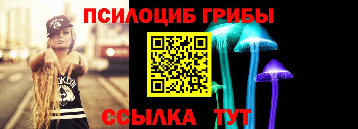 Псилоцибиновые грибы MAGIC MUSHROOMS  Вход с VPN  Кудымкар 